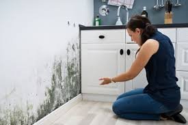 black mold do air purifiers help with mold