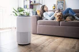 Do air purifiers help with pet allergies?